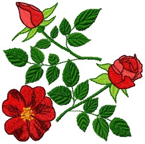 floral embroidery design – free embroidery design