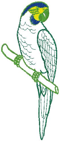 parrot embroidery design free