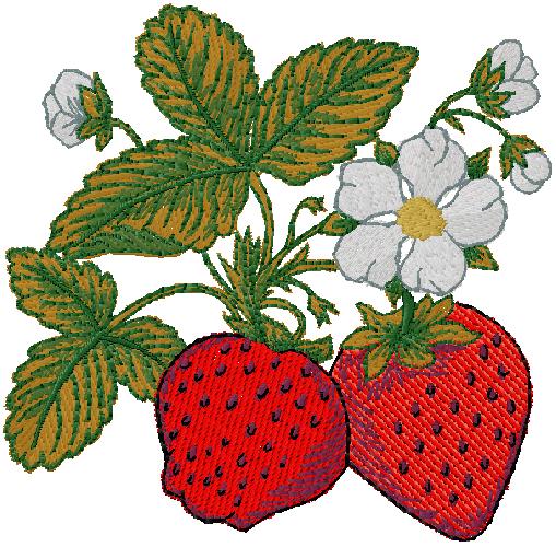 Strawberries embroidery design