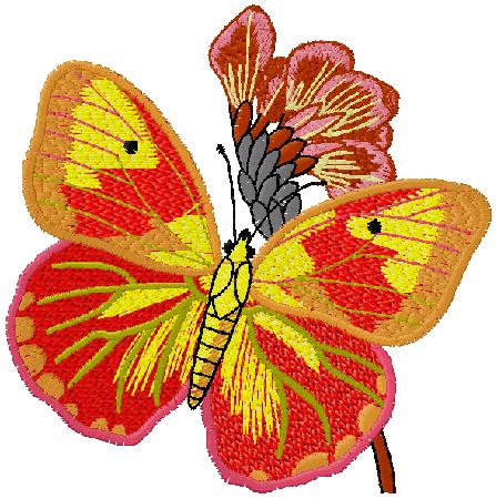 butterfly embroidery design