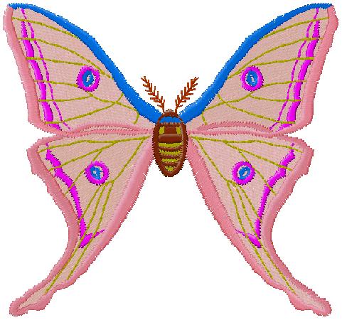 butterfly embroidery design