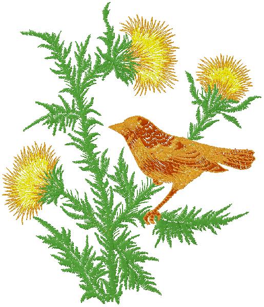 bird embroidery design