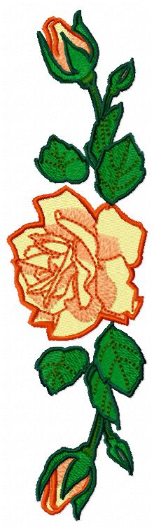 rose border embroidery design