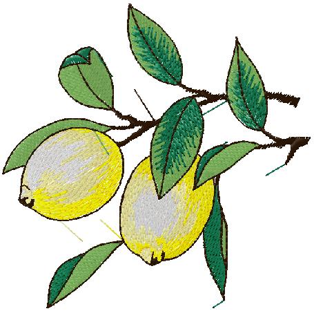 Lemon embroidery design