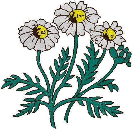 flowers embroidery design