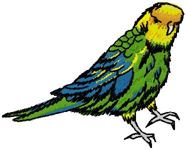 Parrot  embroidery design free download