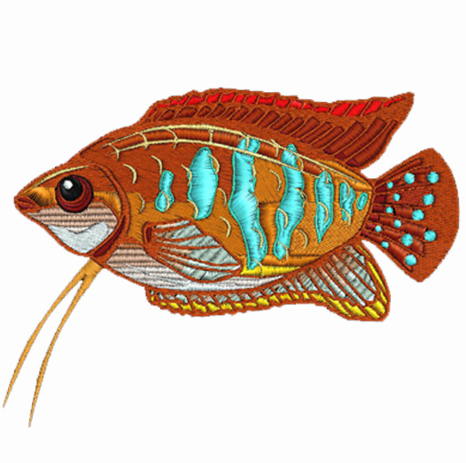 fish embroidery design