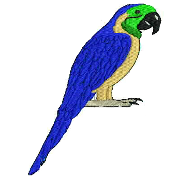 Parrot embroidery design