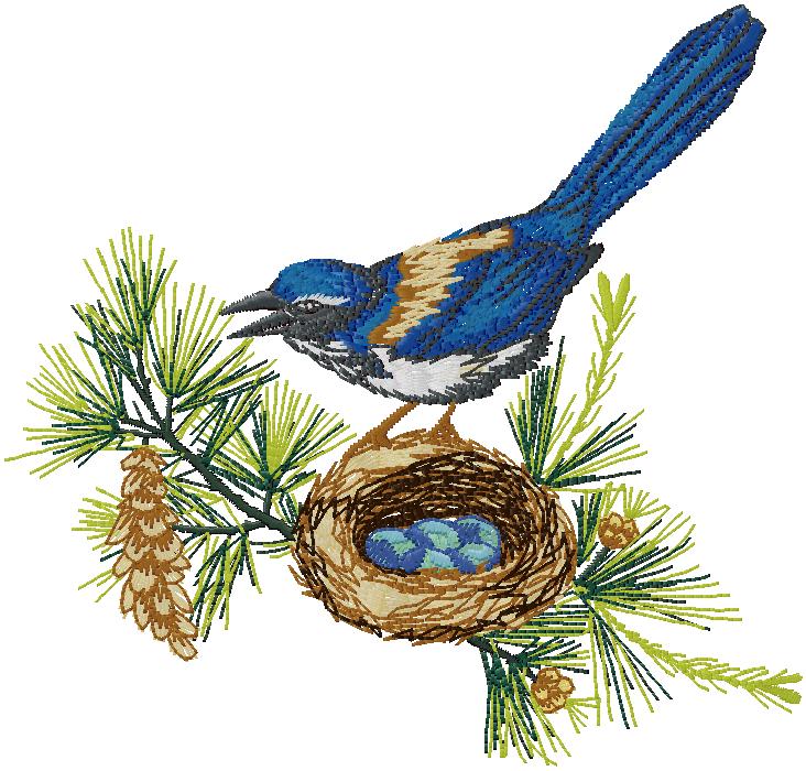 bird machine embroidery design