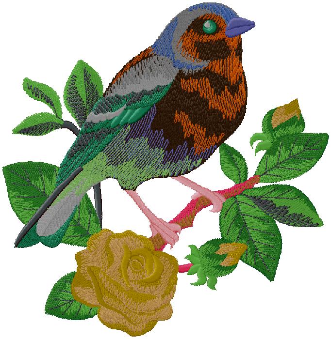 bird embroidery design