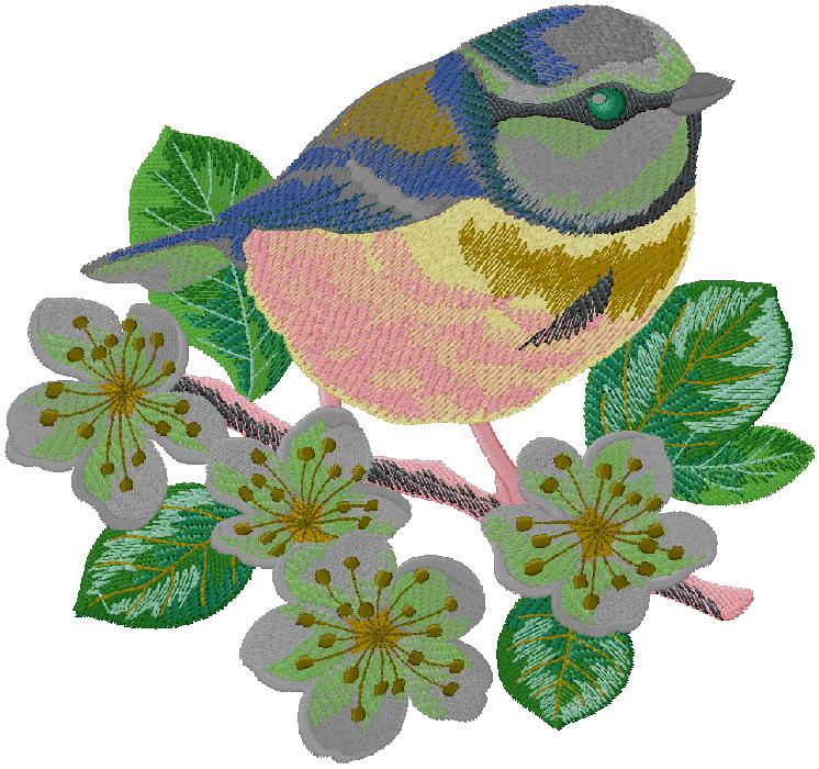 bird embroidery design