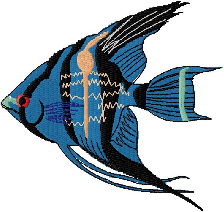 fish embroidery design