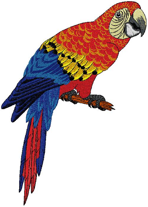 Parrot embroidery design