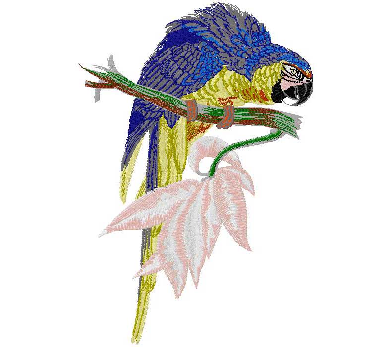 Parrot embroidery design