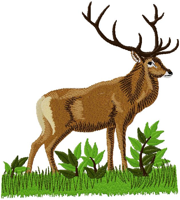 cute Deer embroidery Design