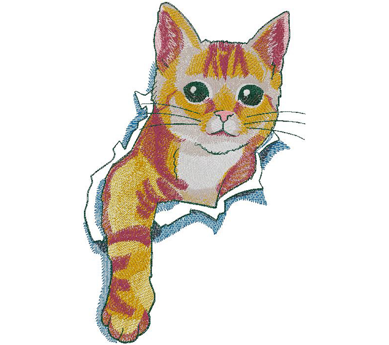 cute cat embroidery design