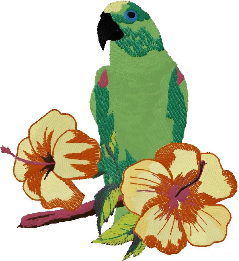 Parrot with flowers embroidery design