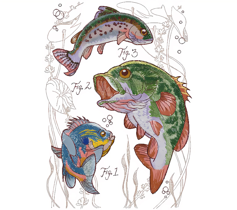 fish embroidery design