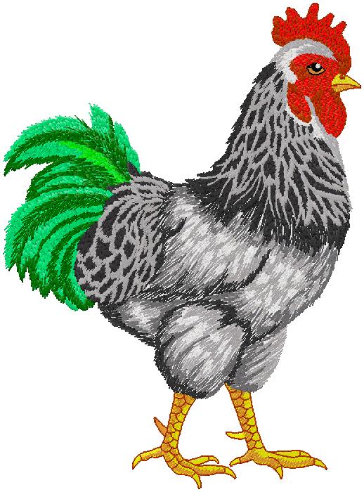 rooster embridery design