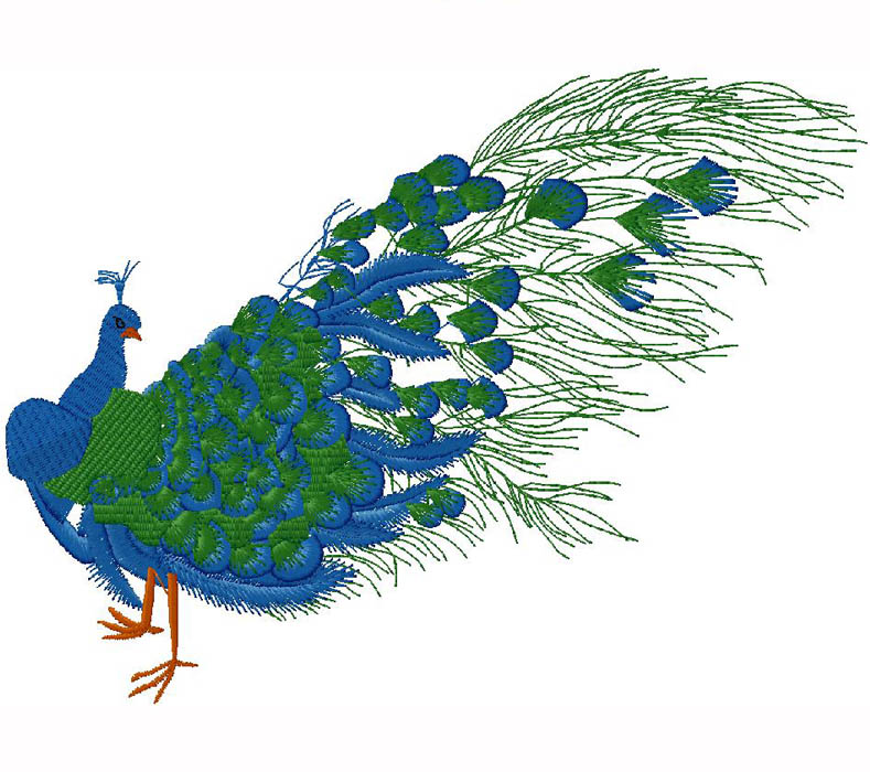 Peacock - embroidery design for free download 